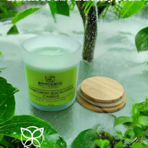 Rainforest Eucalyptus Candles