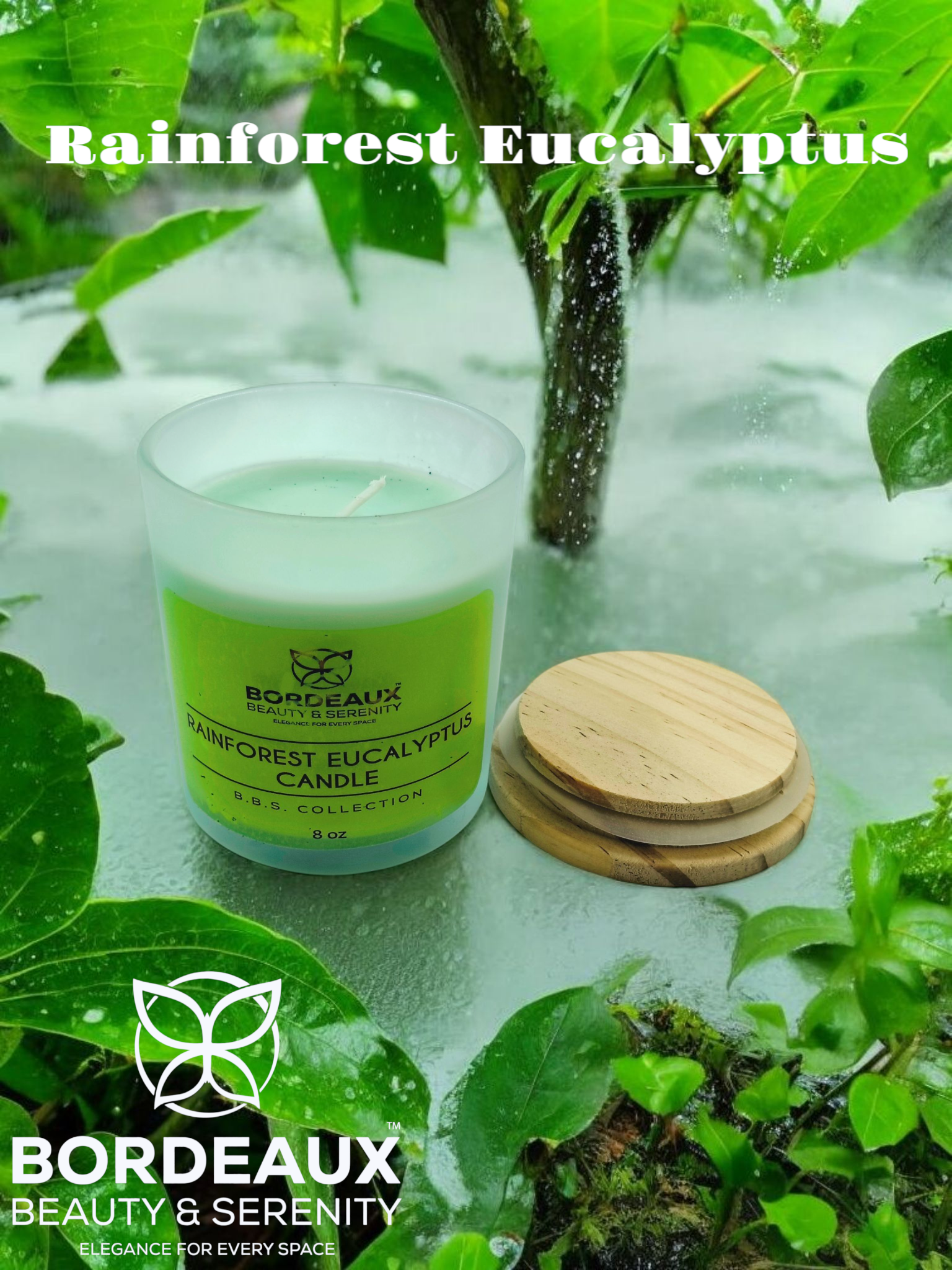 Rainforest Eucalyptus Candles