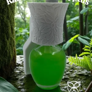 Rainforest Eucalyptus Plug In