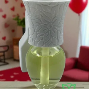 Romeo & Juliet Plug in