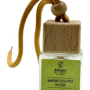 Rainforest Eucalyptus Car Scent