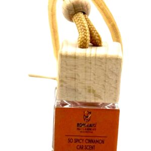 So Spicy Cinnamon Car Scent